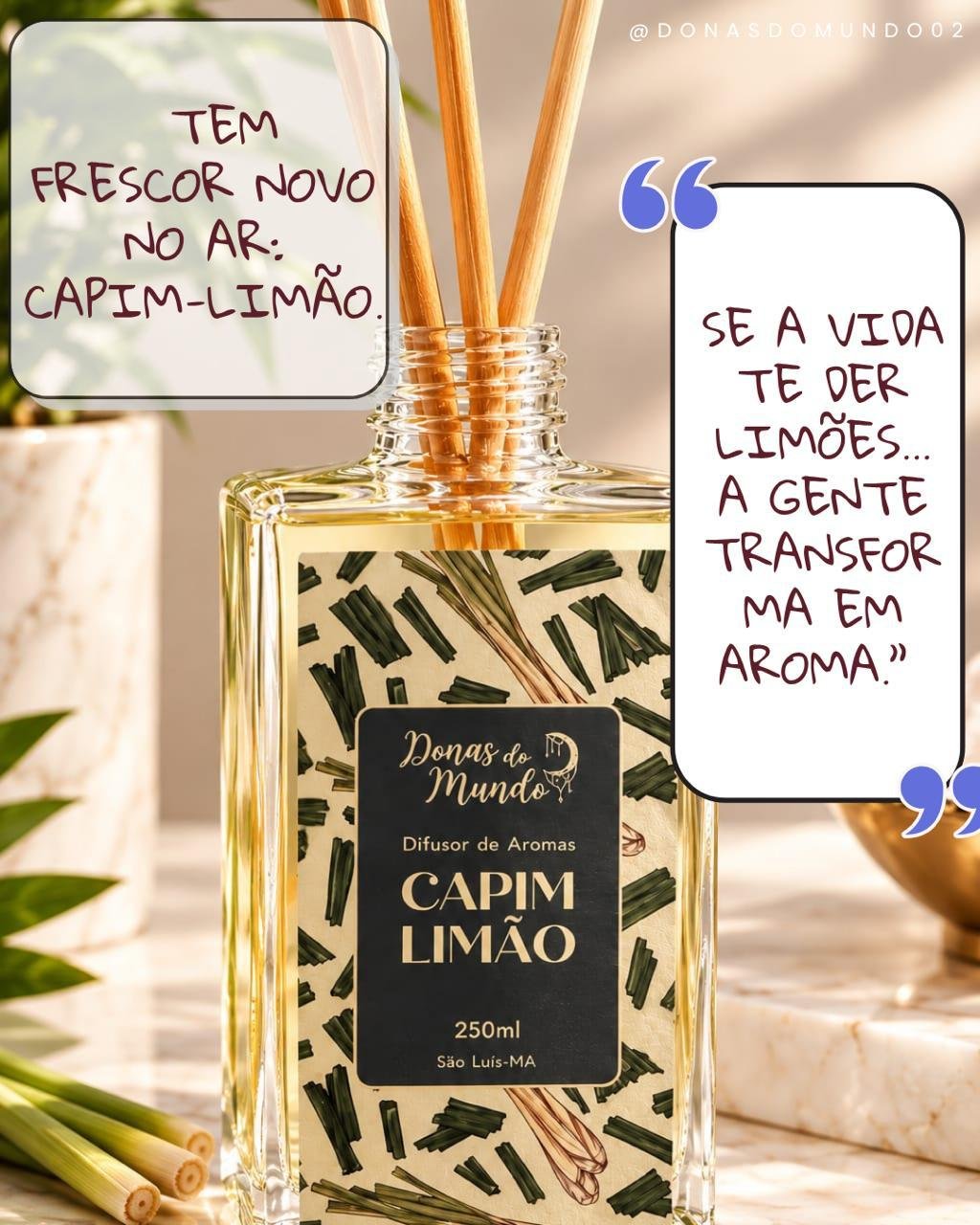 Capim Limão